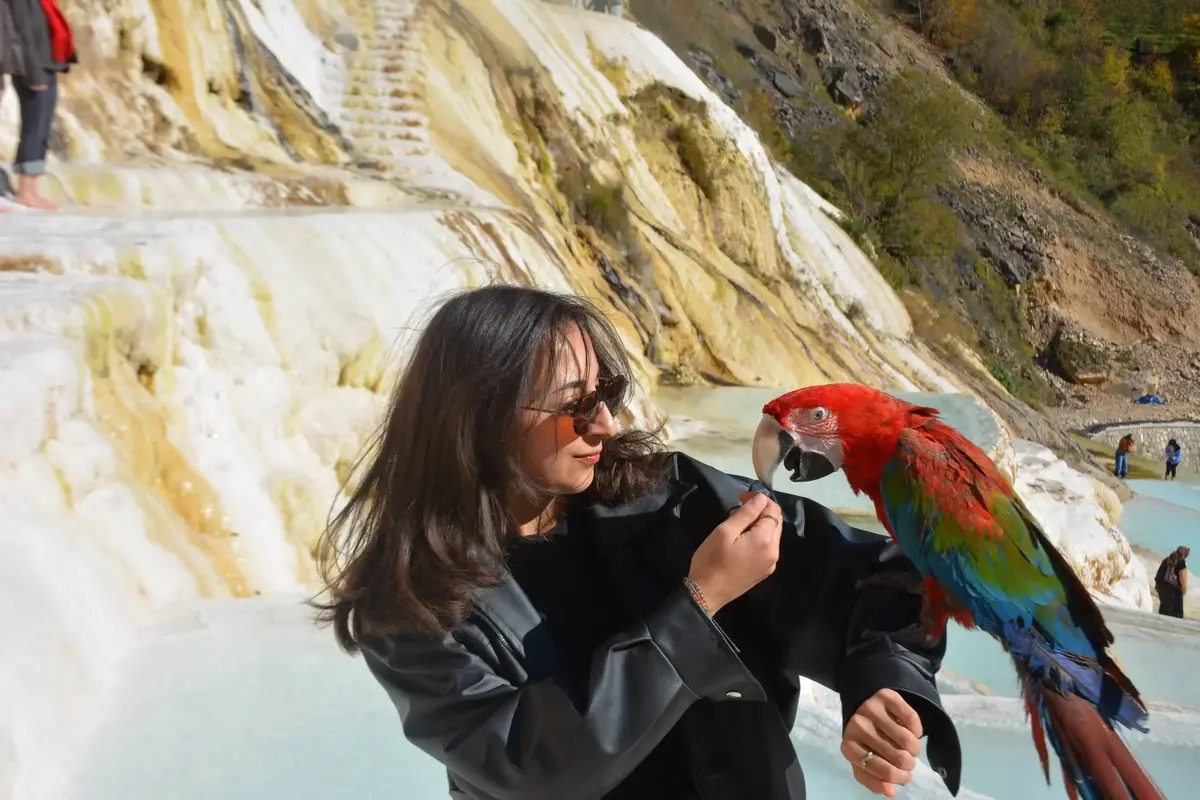 Karadeniz Tanıtım Turu
