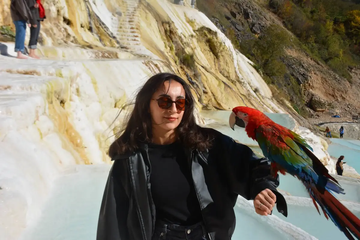 Karadeniz Tanıtım Turu