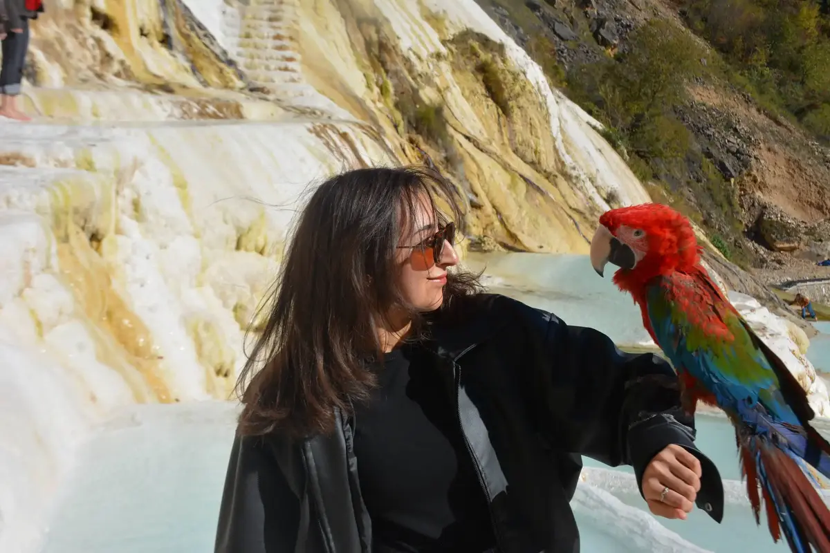 Karadeniz Tanıtım Turu