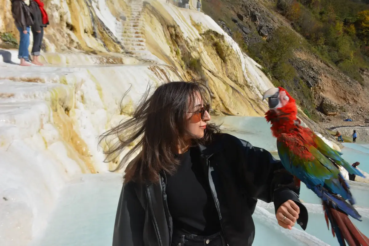 Karadeniz Tanıtım Turu