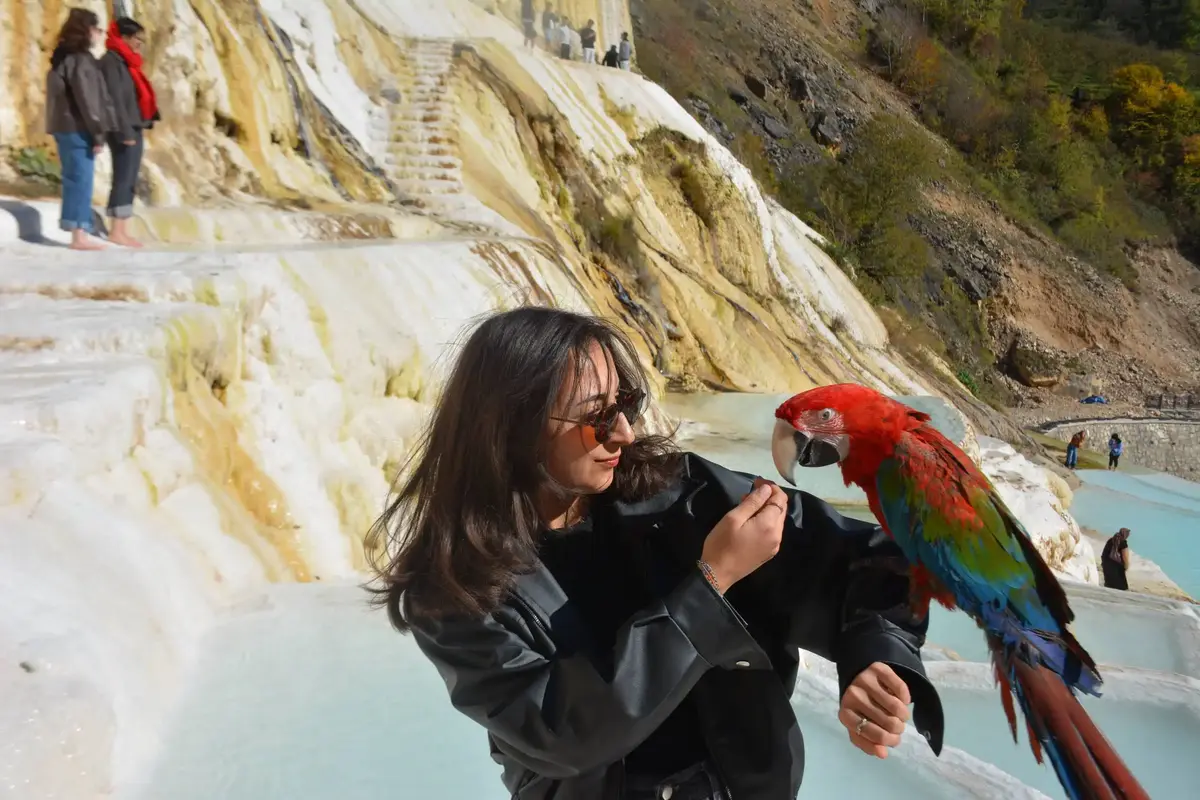Karadeniz Tanıtım Turu