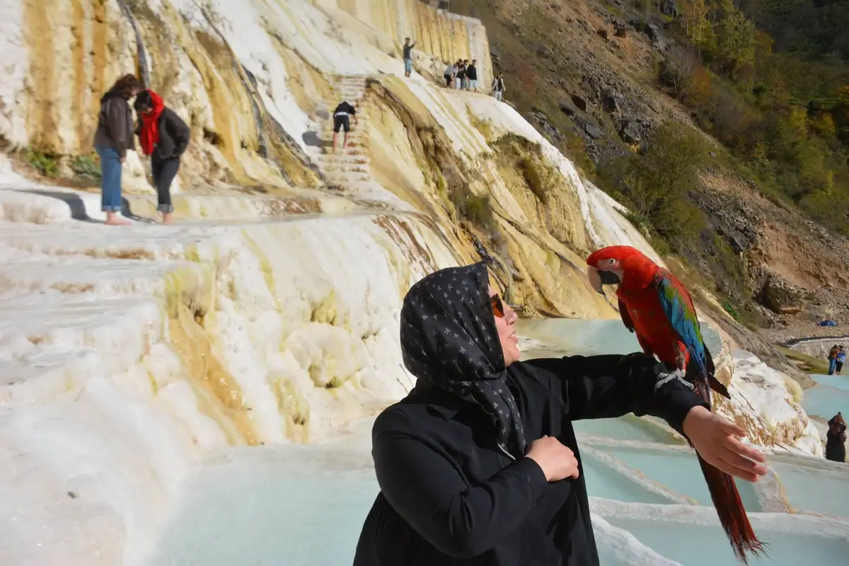 Karadeniz Tanıtım Turu