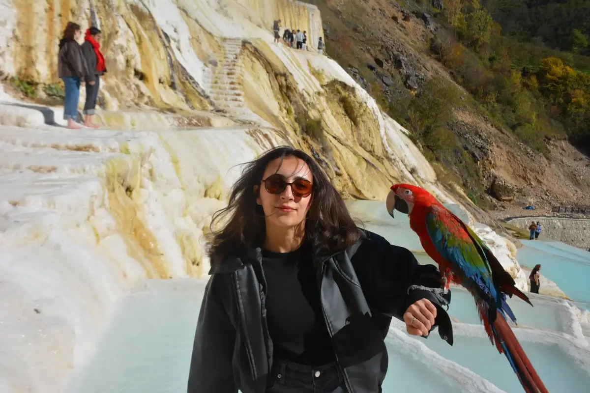 Karadeniz Tanıtım Turu